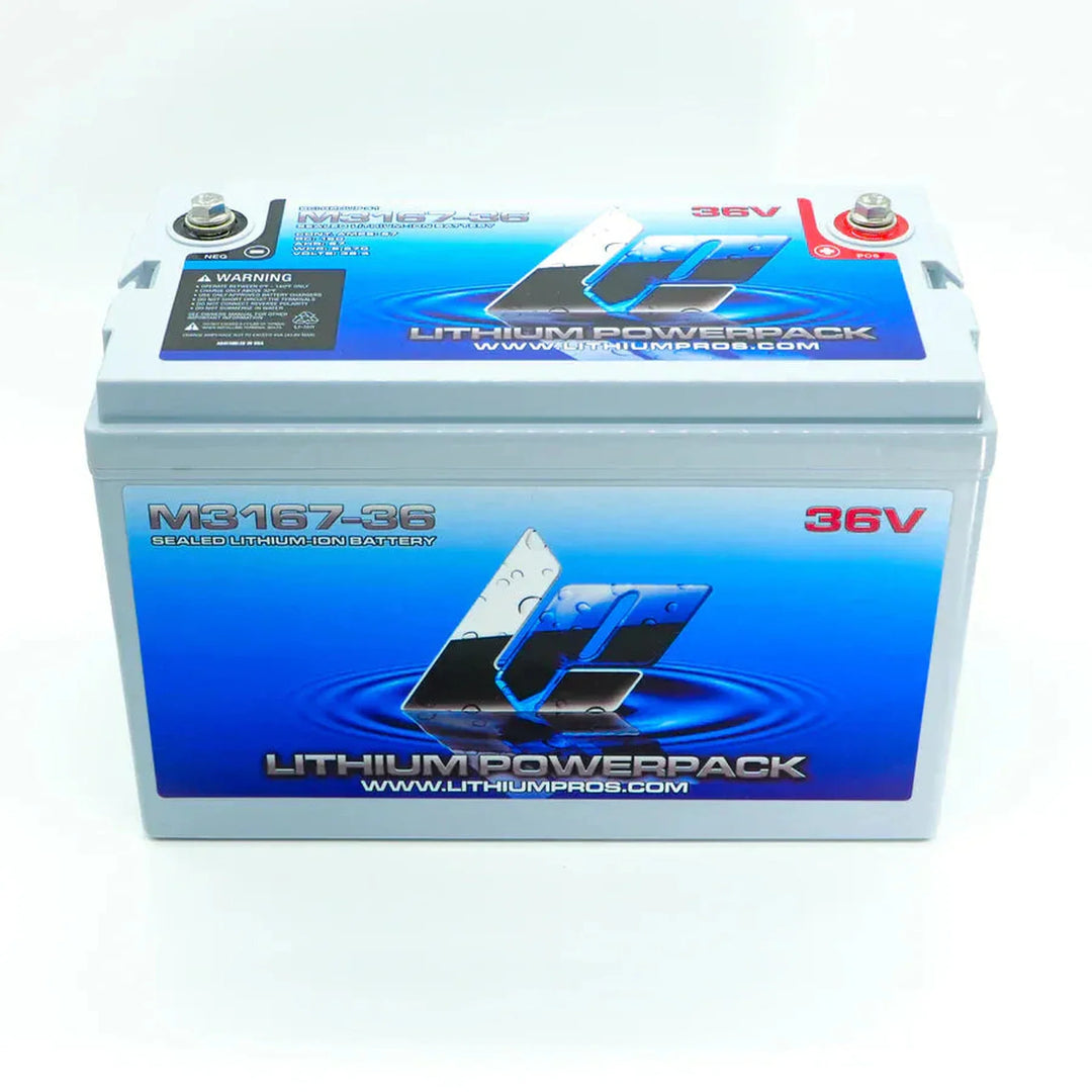 Lithium Pros M3167-36 – JS Alternators