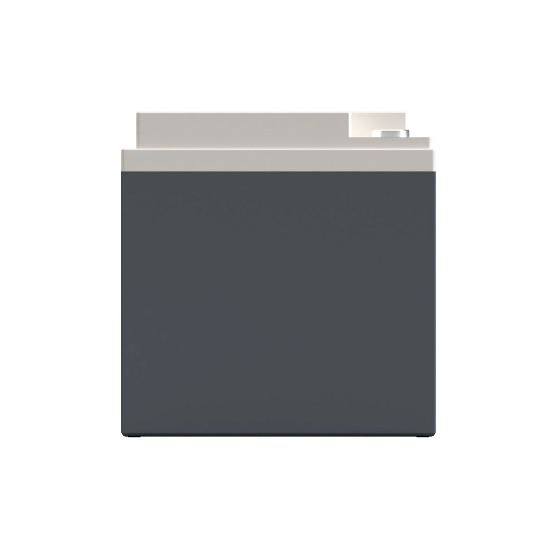 XS Power PS1200L 12V AGM Car Audio Battery